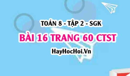 Bài 16 trang 60 Toán 8 Tập 2 Chân trời sáng tạo